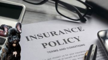 Jak spisać testament by zabezpieczyć swojego psa?