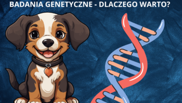 Ubezpieczenie psa-odpowiedzialny opiekun.